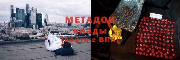 шишки Белокуриха
