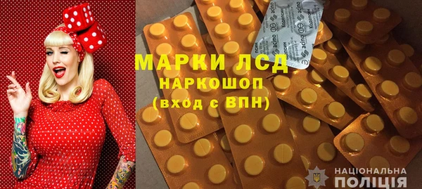 шишки Белокуриха