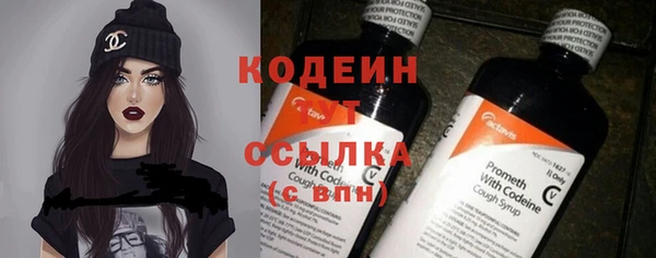 шишки Белокуриха