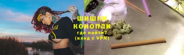 шишки Белокуриха