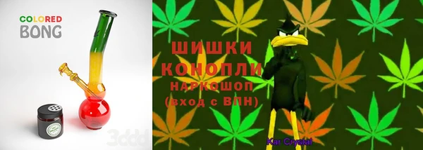 шишки Белокуриха