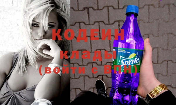 шишки Белокуриха