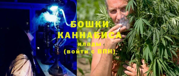 шишки Белокуриха
