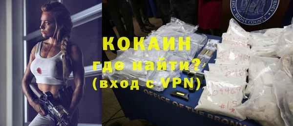шишки Белокуриха