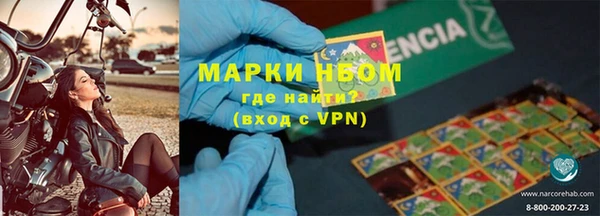 шишки Белокуриха