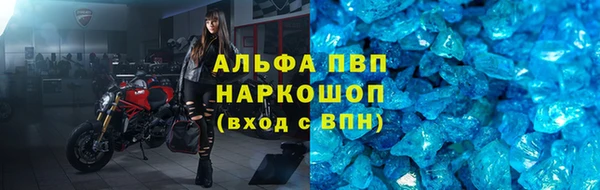 стаф Белоозёрский