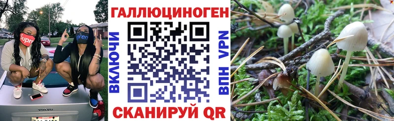 где можно купить   Кологрив  Псилоцибиновые грибы MAGIC MUSHROOMS 